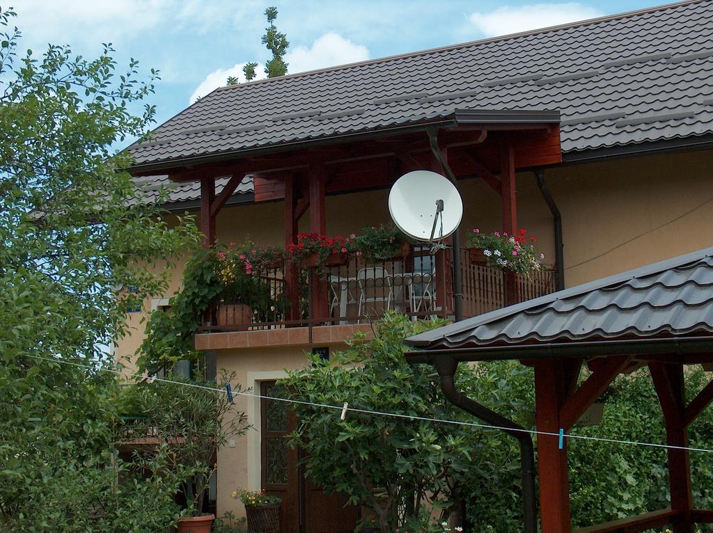 סמולג'אנאק Apartments Ana מראה חיצוני תמונה